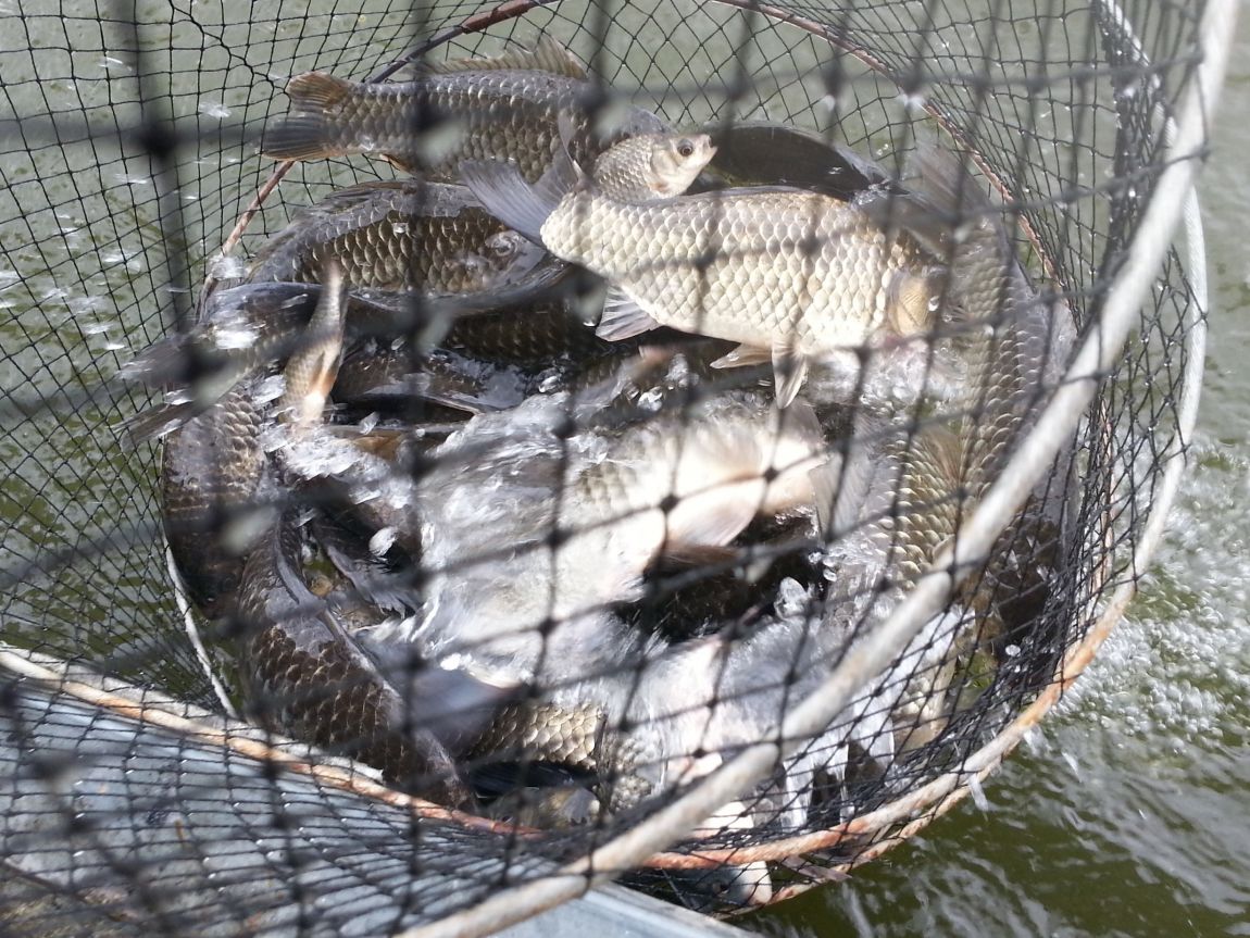 20150725_101237.jpg