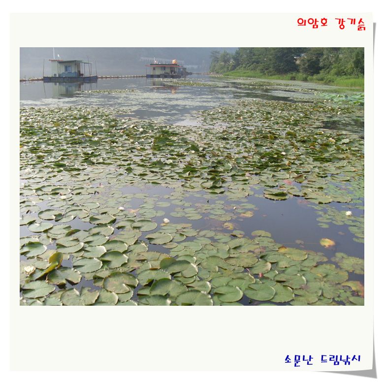 SL380599.jpg