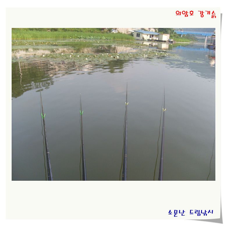 SL380589.jpg