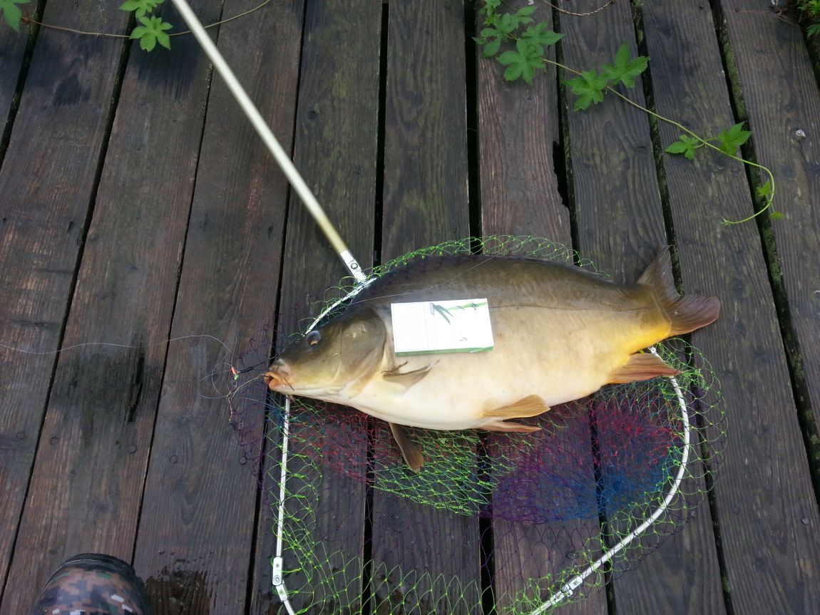 20150725_105117.jpg