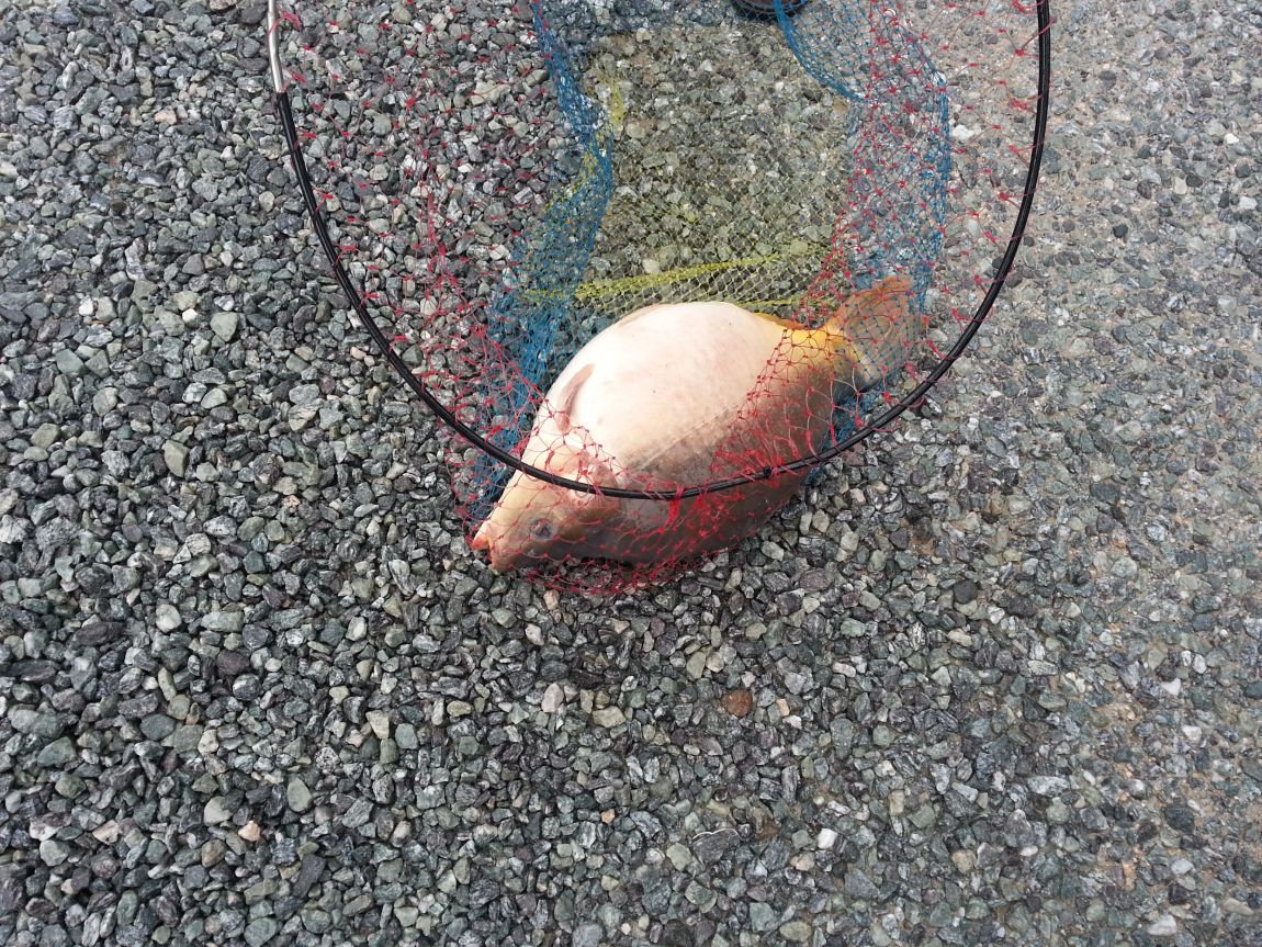 20150725_145427.jpg