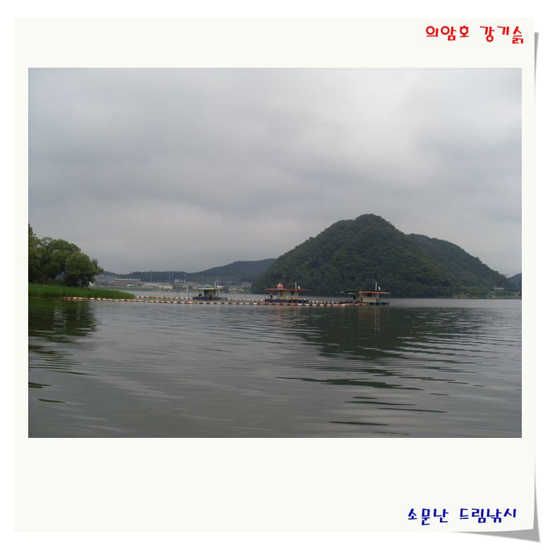 SL380600.jpg
