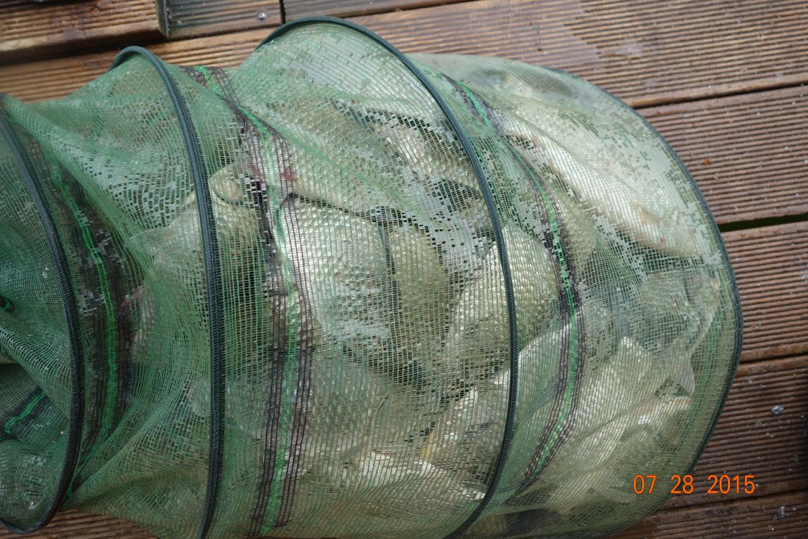 DSC05802.JPG