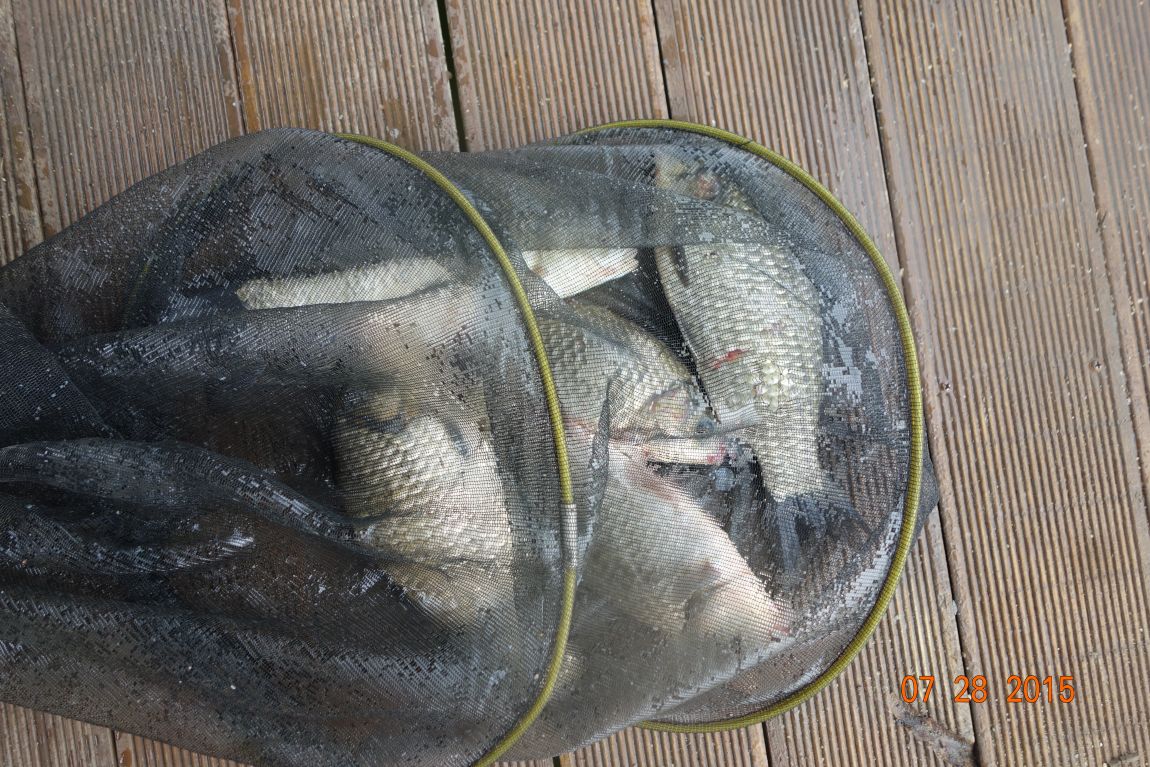 DSC05804.JPG