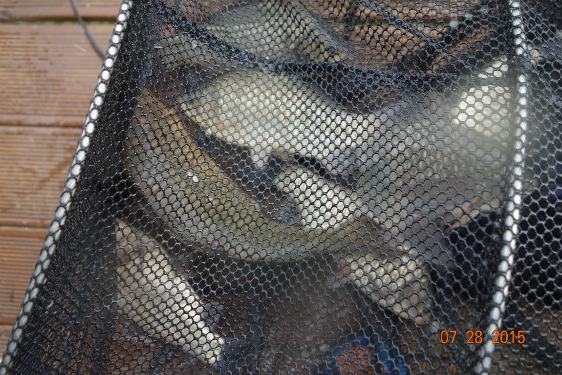 DSC05808.JPG