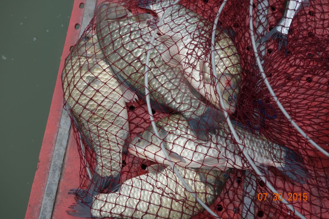 DSC05822.JPG