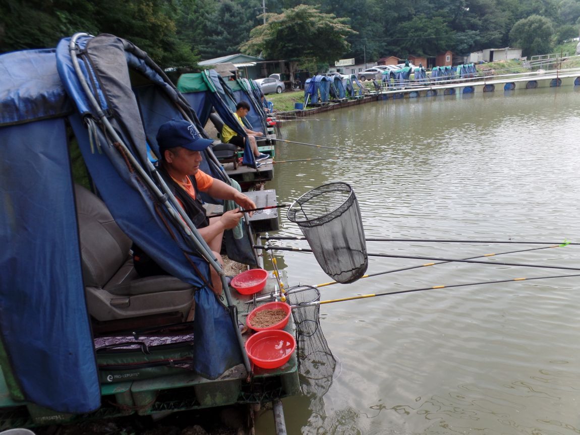 1.JPG