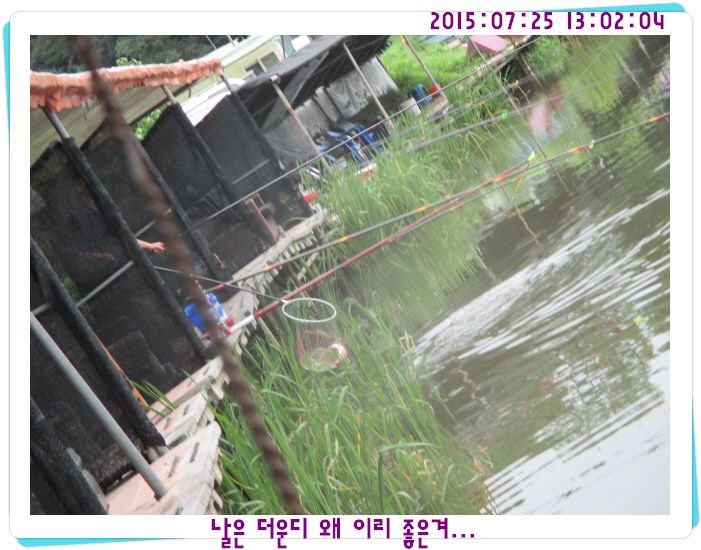 �ٹ̱�_IMG_3141.JPG