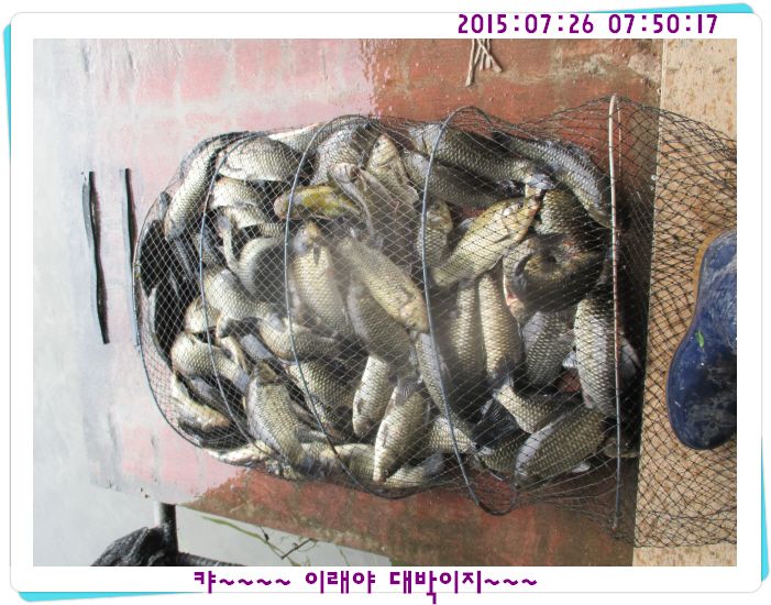 �ٹ̱�_IMG_3155.JPG