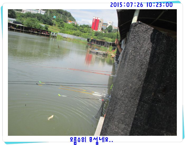 �ٹ̱�_IMG_3158.JPG