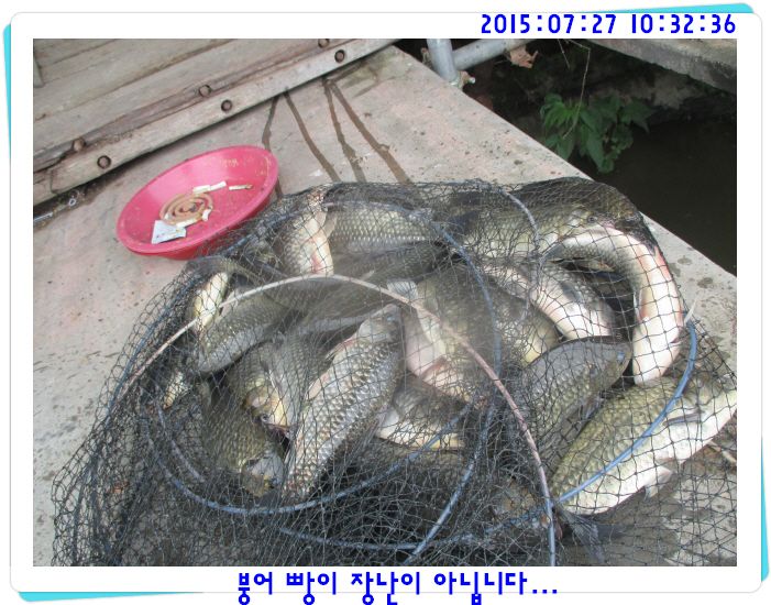 �ٹ̱�_IMG_3174.JPG