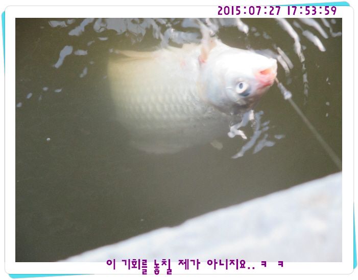 �ٹ̱�_IMG_3181.JPG