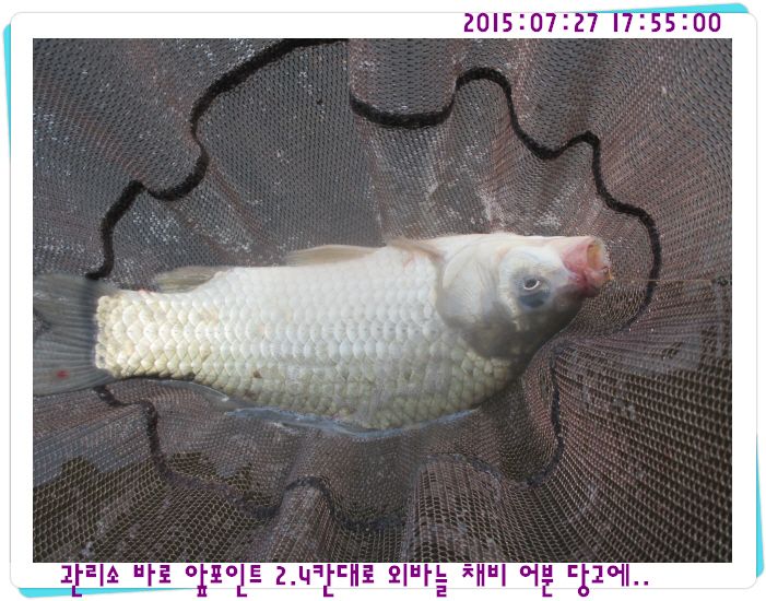 �ٹ̱�_IMG_3182.JPG