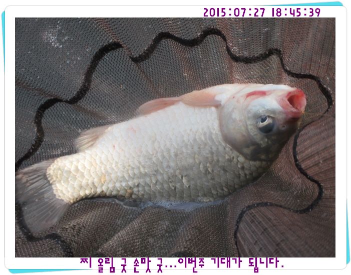 �ٹ̱�_IMG_3184.JPG