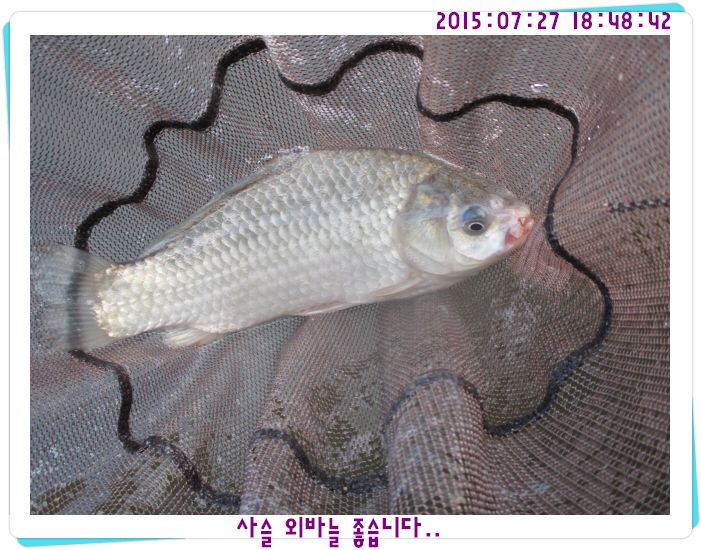 �ٹ̱�_IMG_3185.JPG