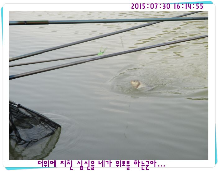 �ٹ̱�_IMG_3188.JPG