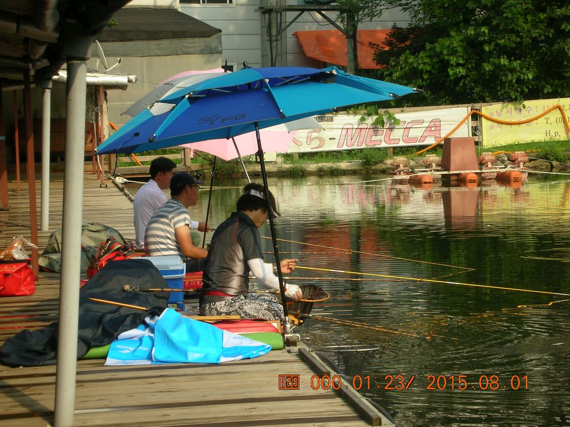 DSCN4083.JPG