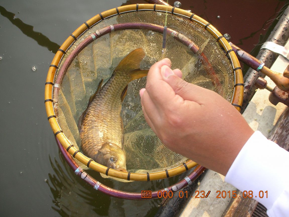 DSCN4089.JPG