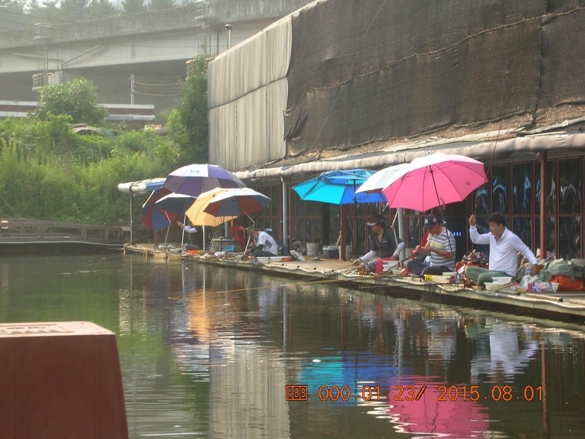 DSCN4094.JPG