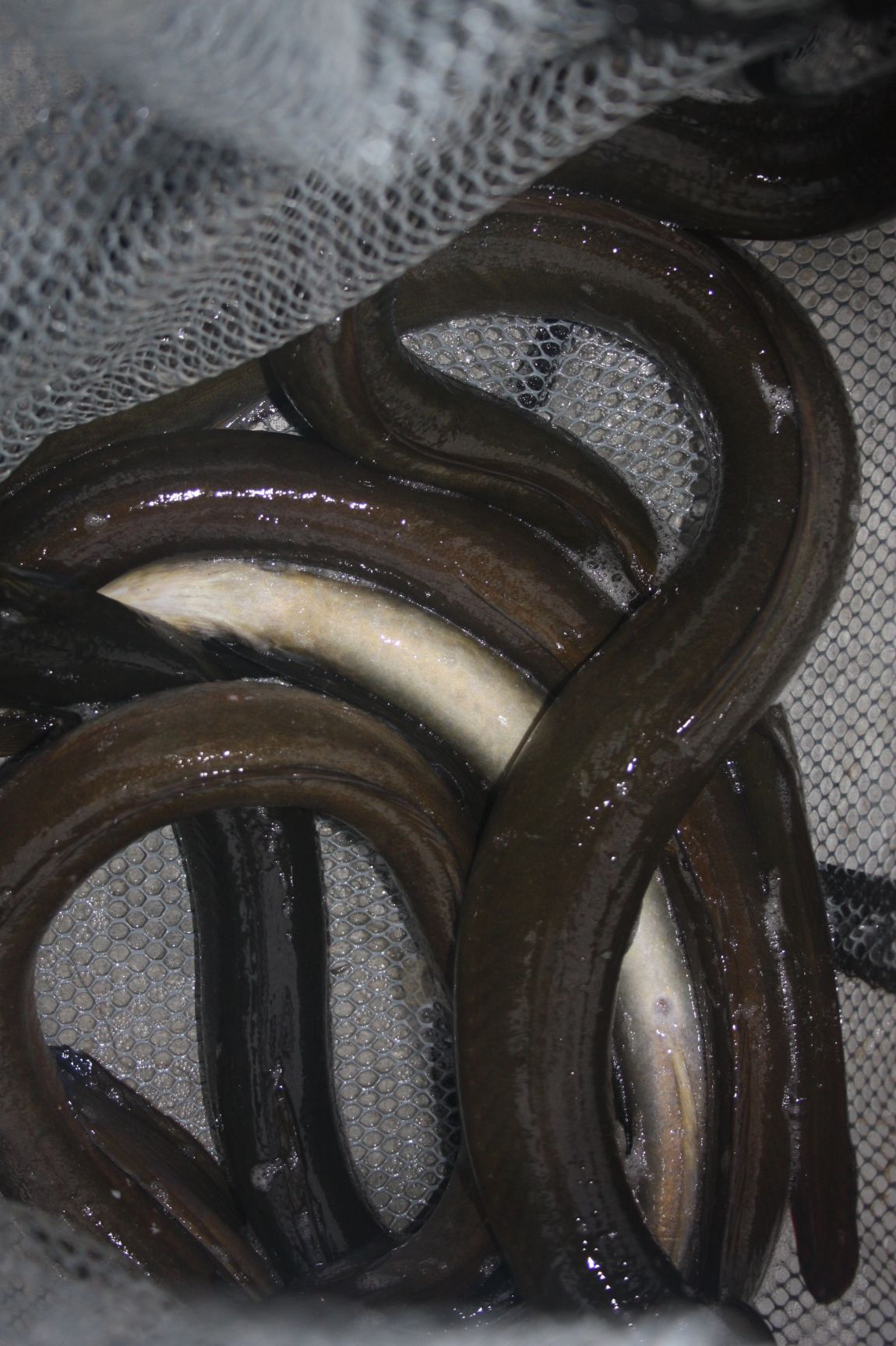 8¿ù2ÀÏ Ã¹ÁÖ ÈÞÀÏ 014.JPG