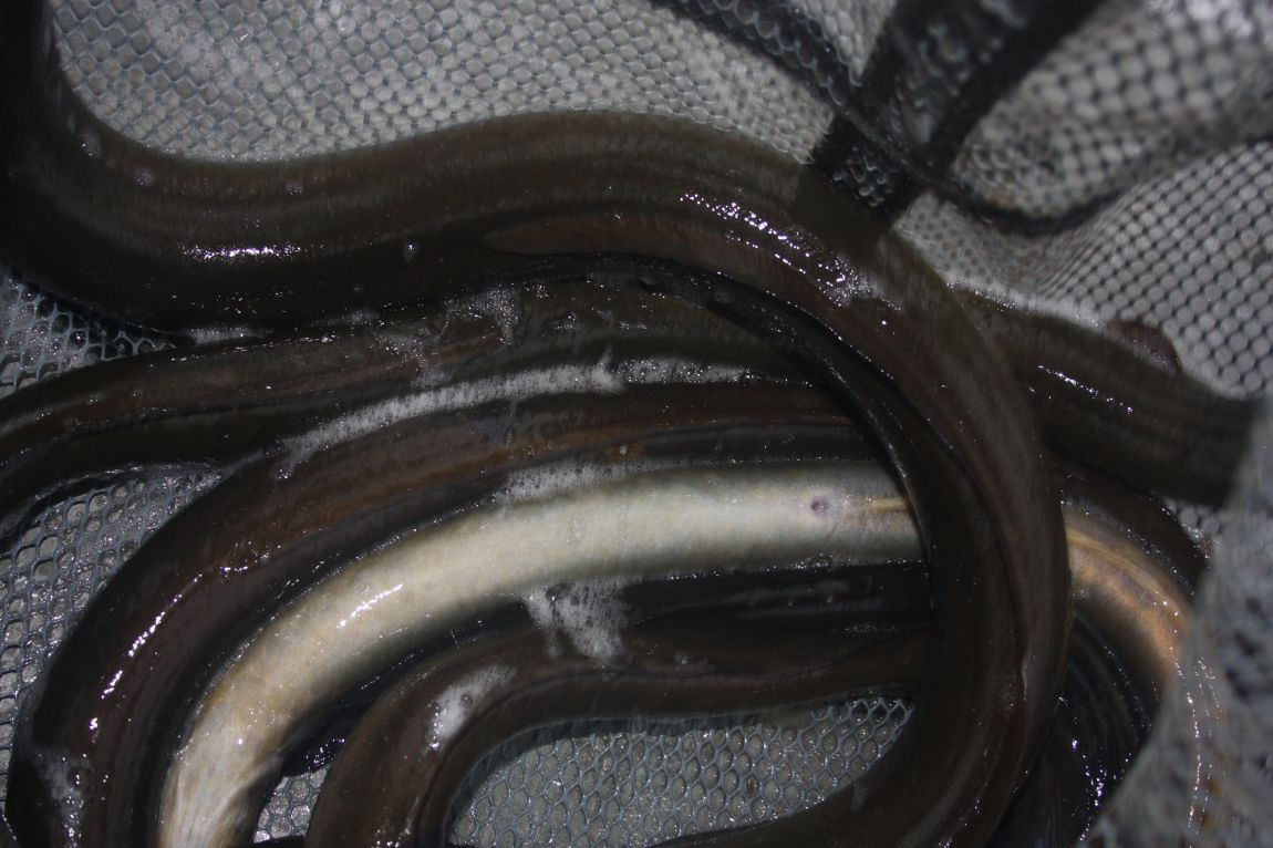 8¿ù2ÀÏ Ã¹ÁÖ ÈÞÀÏ 017.JPG