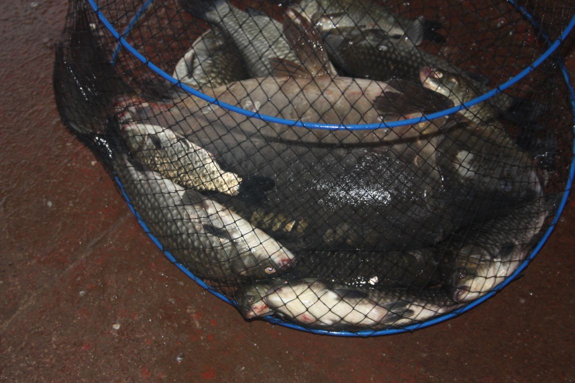 8¿ù2ÀÏ Ã¹ÁÖ ÈÞÀÏ 022.JPG