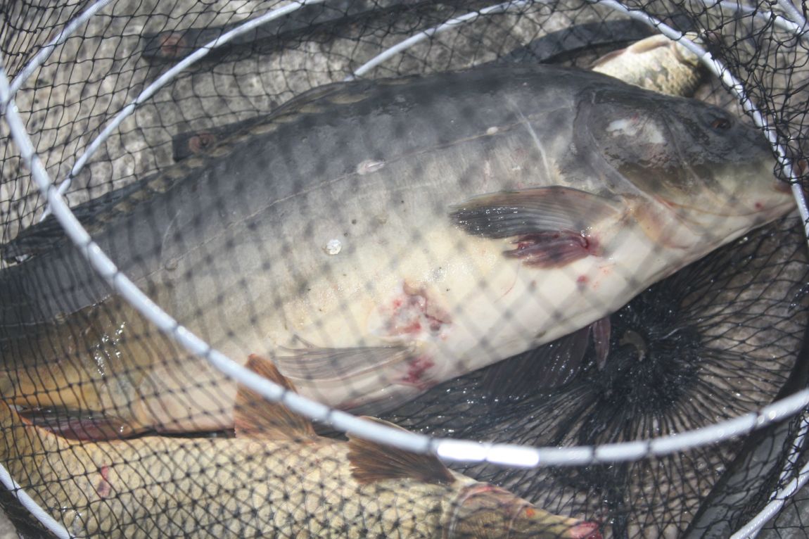 8¿ù2ÀÏ Ã¹ÁÖ ÈÞÀÏ 030.JPG