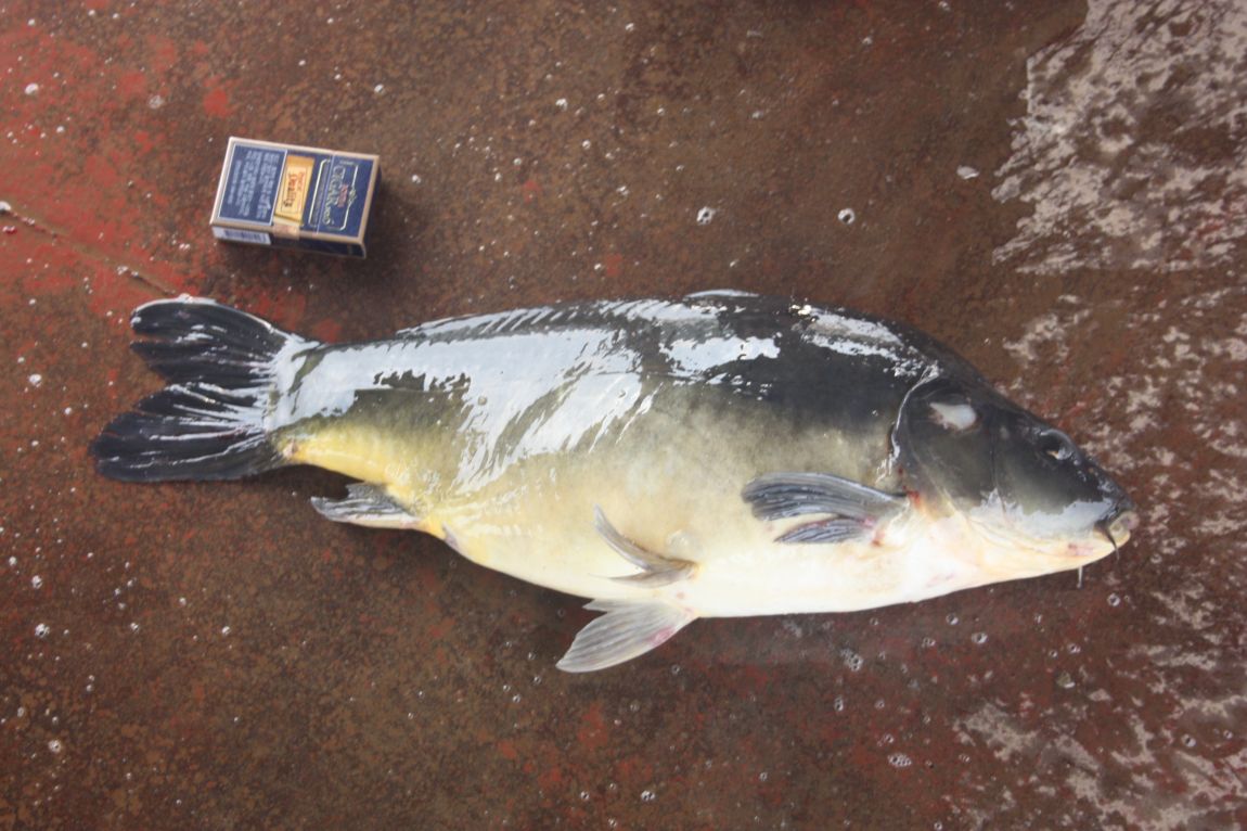 8¿ù2ÀÏ Ã¹ÁÖ ÈÞÀÏ 052.JPG