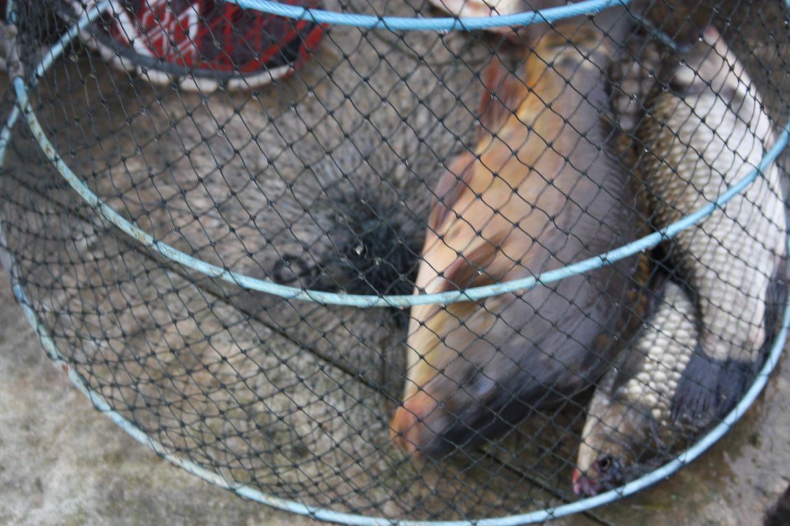 8¿ù2ÀÏ Ã¹ÁÖ ÈÞÀÏ 098.JPG