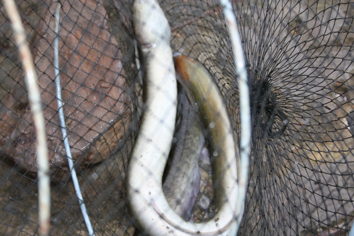 8¿ù2ÀÏ Ã¹ÁÖ ÈÞÀÏ 101.JPG