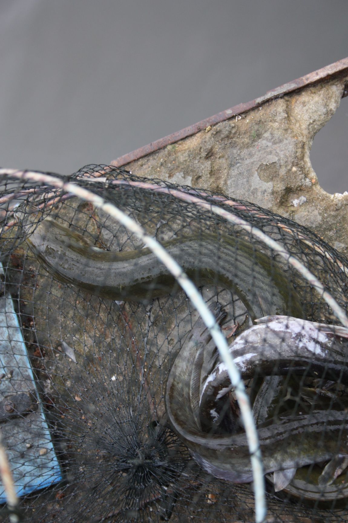 8¿ù2ÀÏ Ã¹ÁÖ ÈÞÀÏ 099.JPG