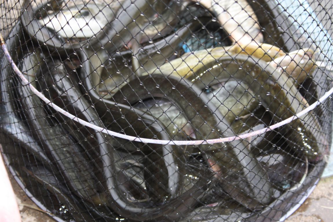 8¿ù2ÀÏ Ã¹ÁÖ ÈÞÀÏ 106.JPG