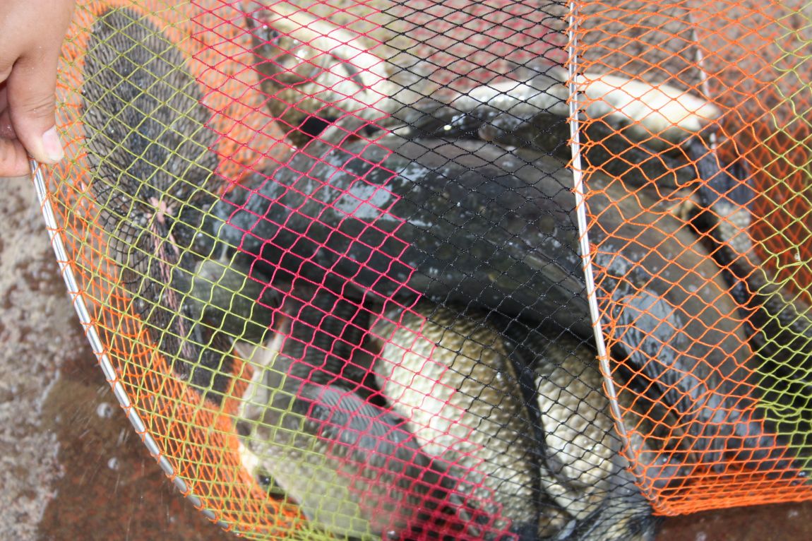 8¿ù2ÀÏ Ã¹ÁÖ ÈÞÀÏ 110.JPG