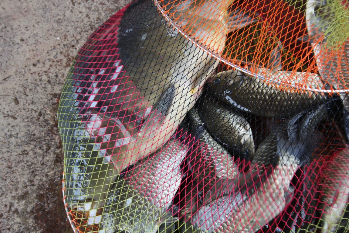 8¿ù2ÀÏ Ã¹ÁÖ ÈÞÀÏ 108.JPG