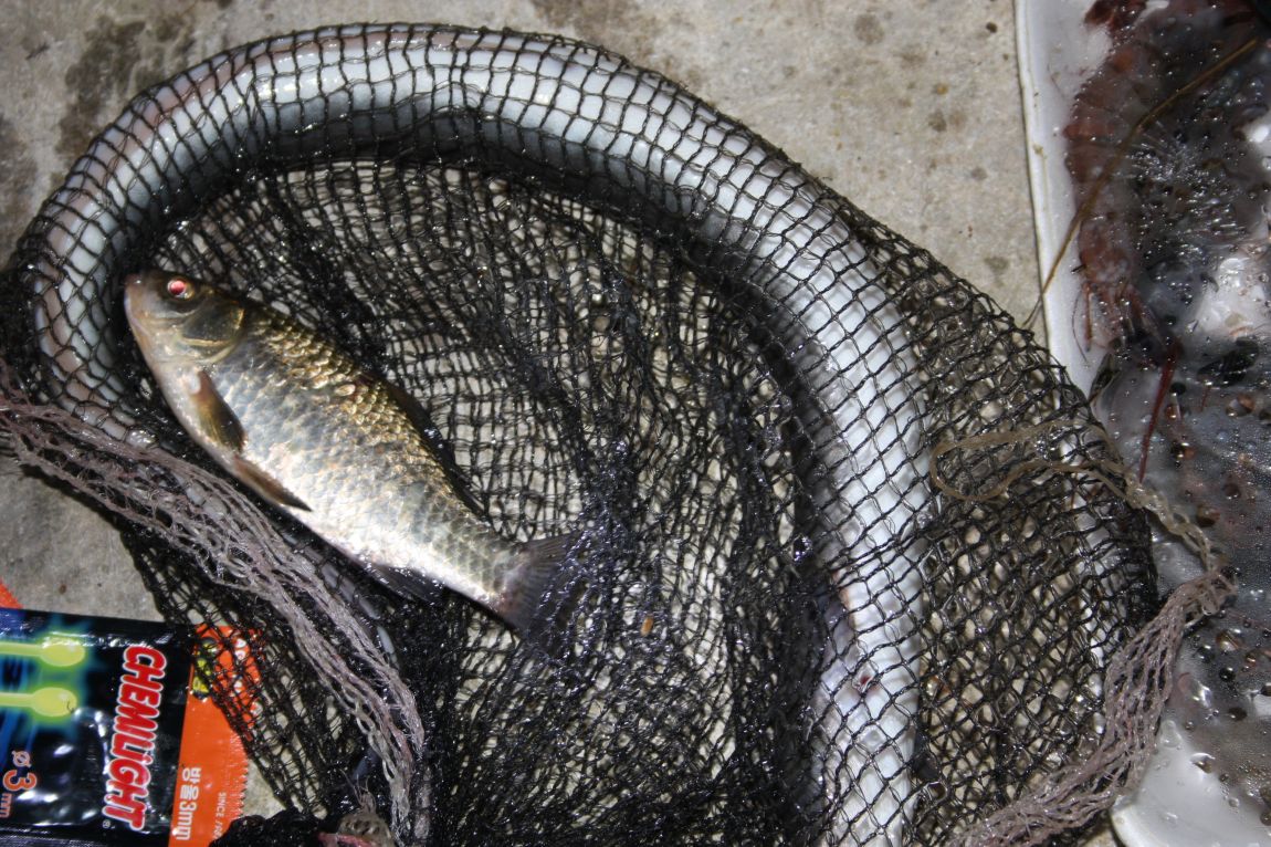 8¿ù2ÀÏ Ã¹ÁÖ ÈÞÀÏ 132.JPG