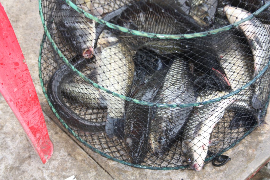 8¿ù2ÀÏ Ã¹ÁÖ ÈÞÀÏ 137.JPG