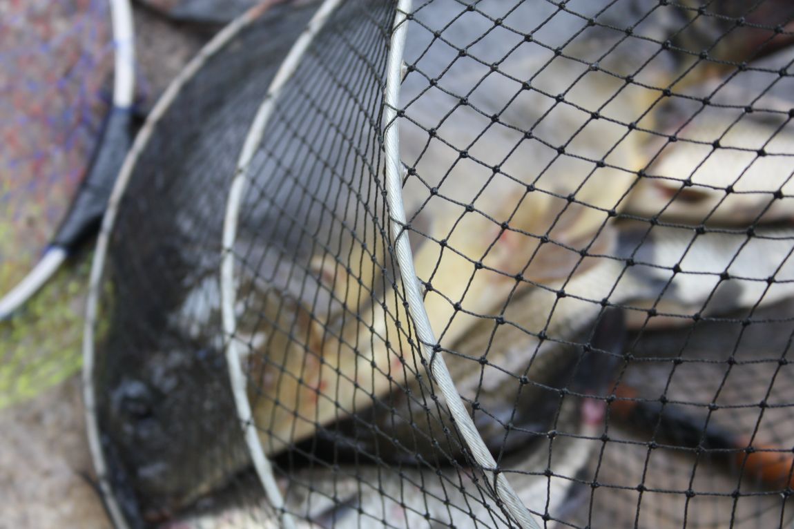 8¿ù2ÀÏ Ã¹ÁÖ ÈÞÀÏ 142.JPG