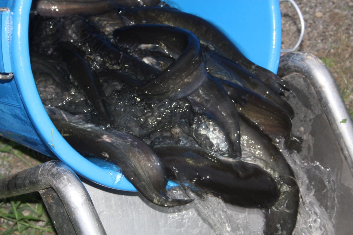 8¿ù2ÀÏ Ã¹ÁÖ ÈÞÀÏ 001.JPG