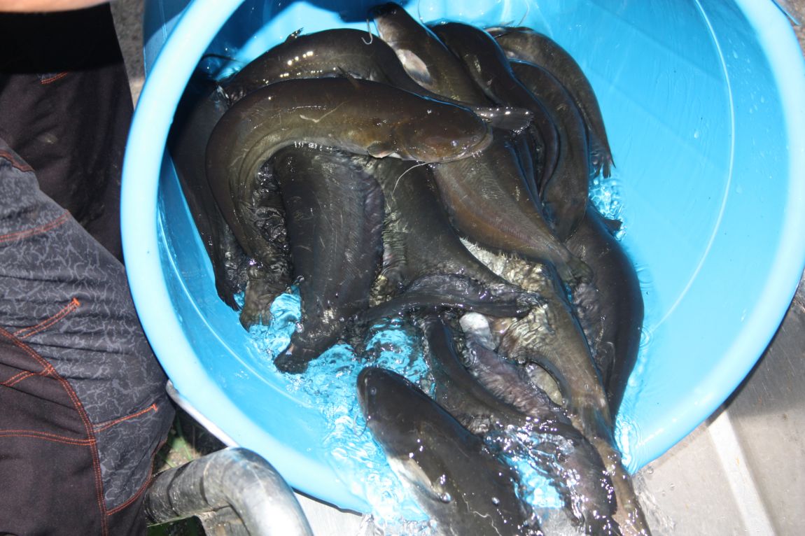 8¿ù2ÀÏ Ã¹ÁÖ ÈÞÀÏ 005.JPG