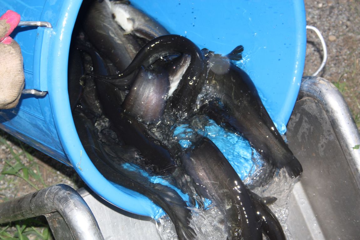 8¿ù2ÀÏ Ã¹ÁÖ ÈÞÀÏ 003.JPG