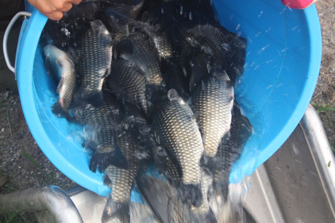 8¿ù2ÀÏ Ã¹ÁÖ ÈÞÀÏ 069.JPG