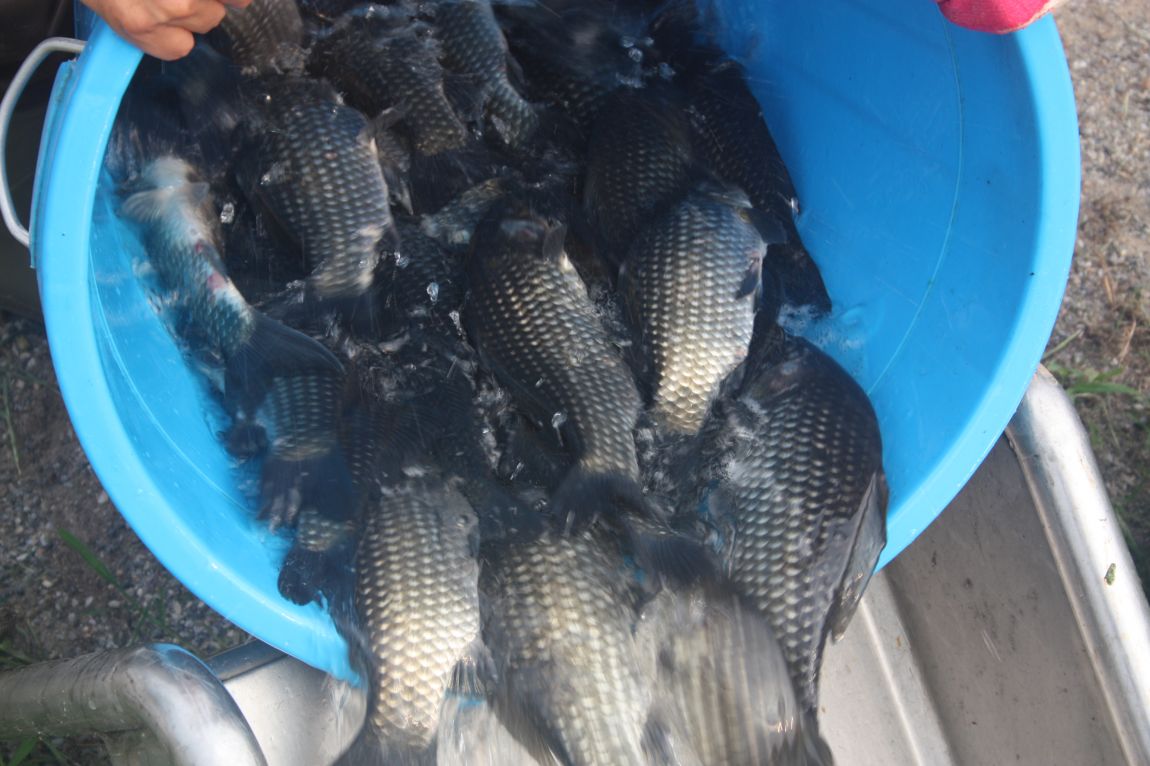 8¿ù2ÀÏ Ã¹ÁÖ ÈÞÀÏ 068.JPG