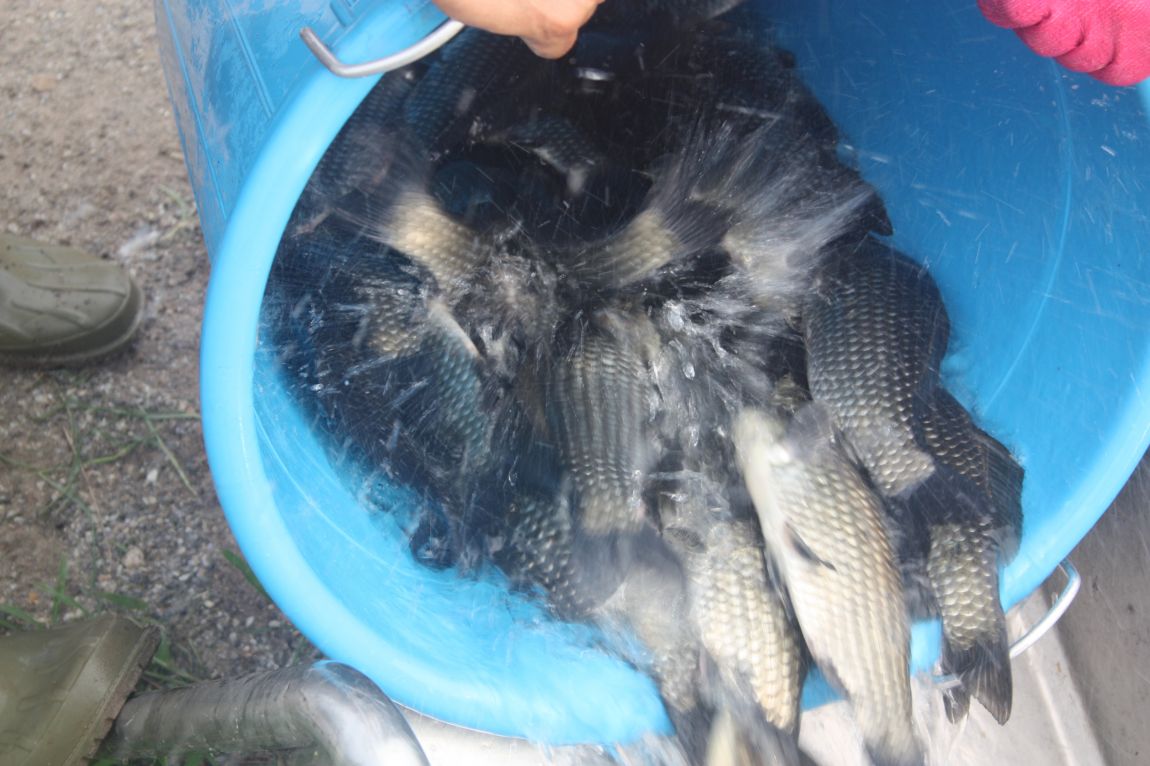 8¿ù2ÀÏ Ã¹ÁÖ ÈÞÀÏ 076.JPG