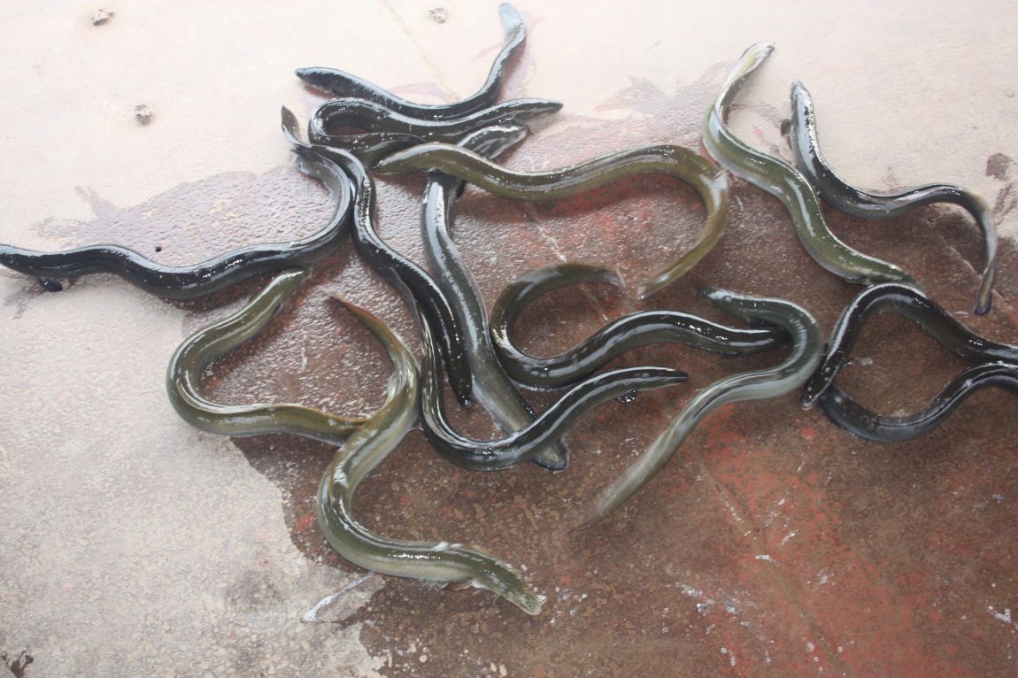 8¿ù2ÀÏ Ã¹ÁÖ ÈÞÀÏ 042.JPG