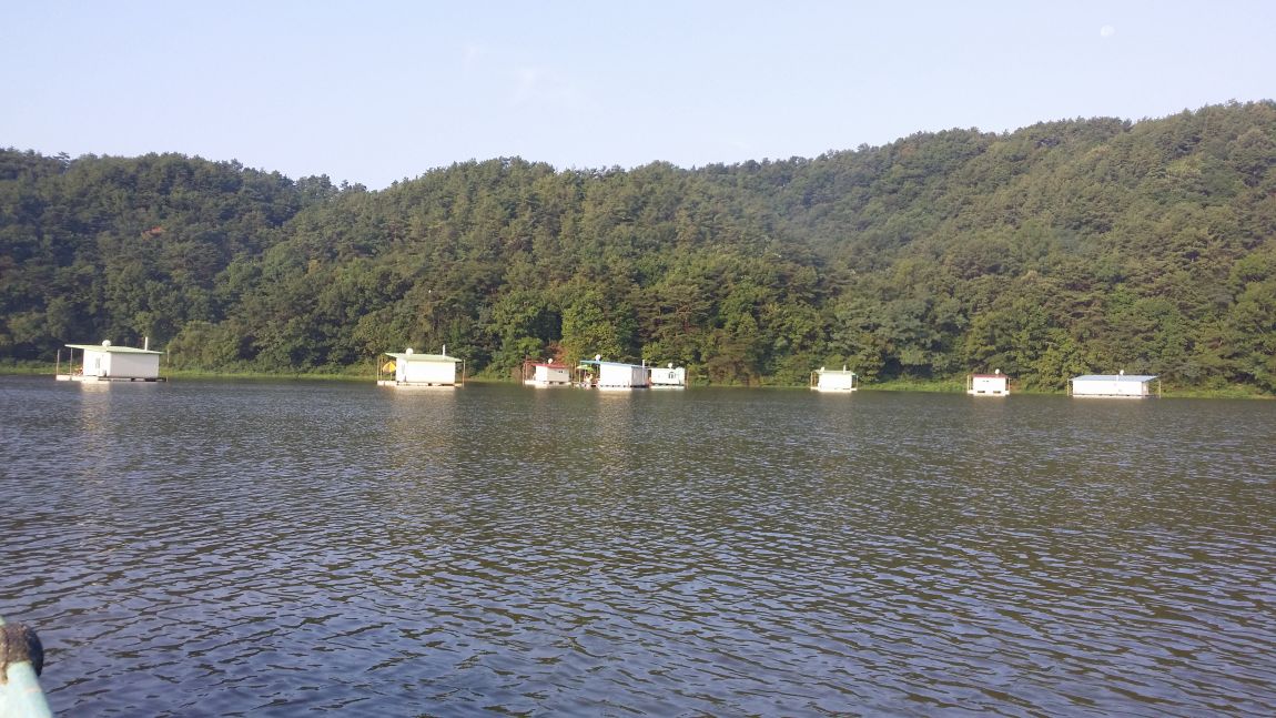 20150803_070753.jpg