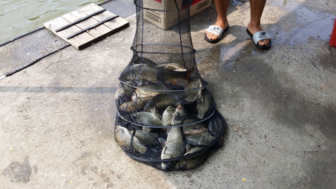 20150803_111305.jpg