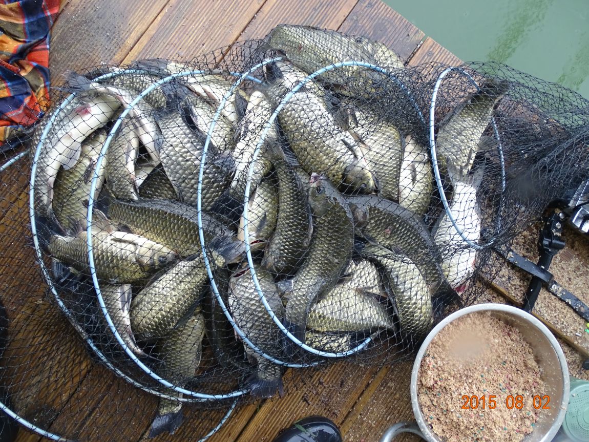 DSC00995.JPG