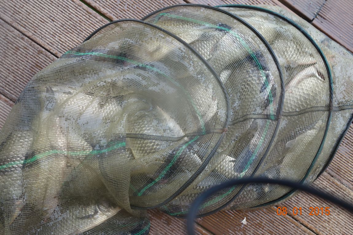DSC05868.JPG