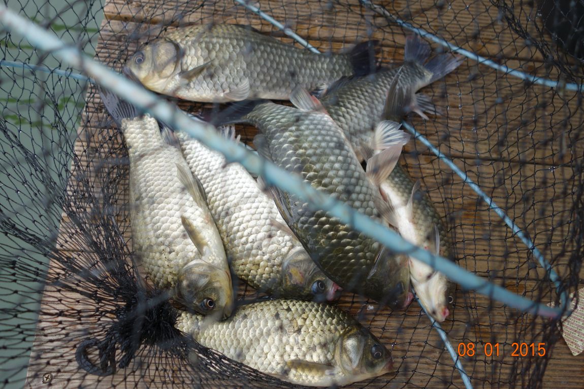 DSC05878.JPG