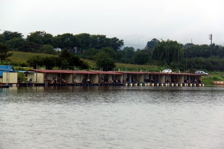 01.jpg